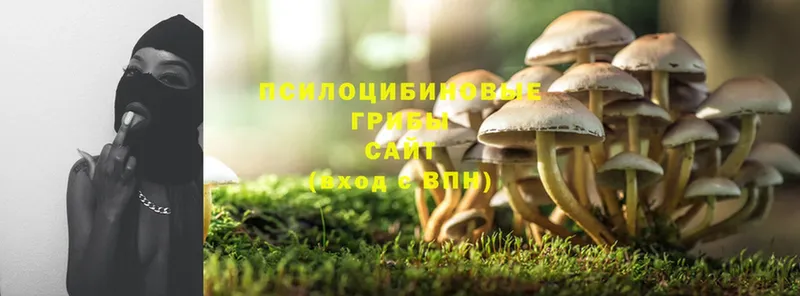 площадка какой сайт  цена   Тюкалинск  Галлюциногенные грибы Magic Shrooms 